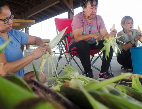 GALLERY: 2023 Traditional Indian Corn Harvest
