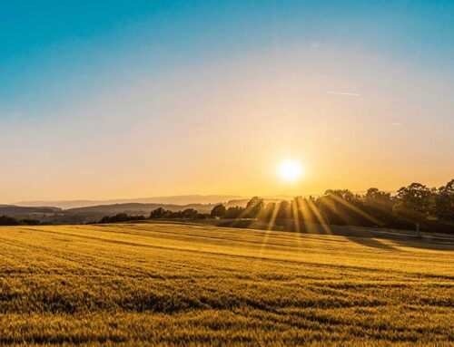 Indian Gaming Magazine Features Winnebago Tribe of Nebraska